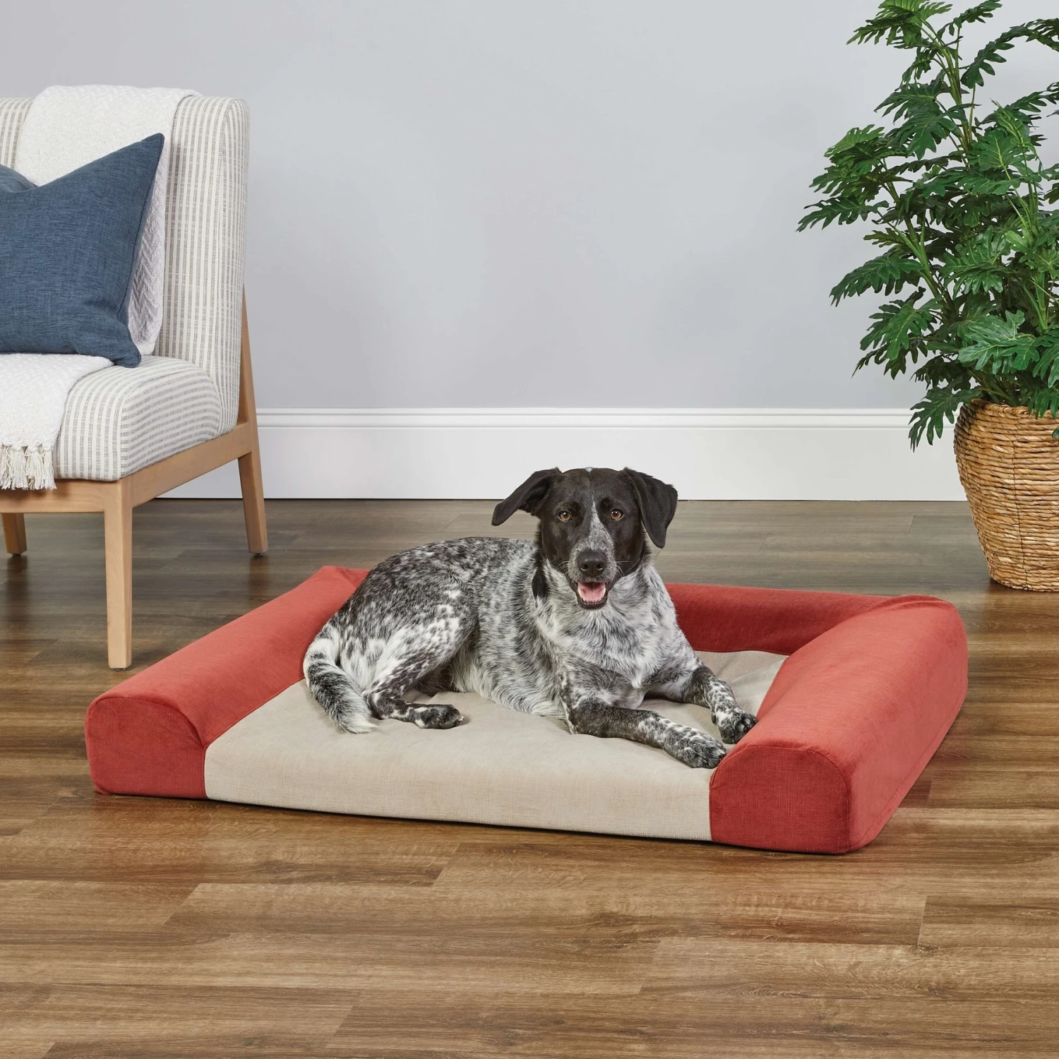 MidWest Signature QuietTime Memory Foam Dog & Cat Bed Sofa 5 MidWest Signature QuietTime Memory Foam Dog & Cat Bed Sofa - Image 3