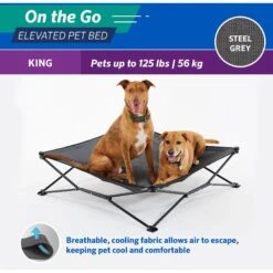 Coolaroo On The Go Elevated Cat & Dog Bed With Removable Cover -Dog Supplies Shop 696990 PT5. AC SS1800 V1667863780