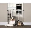 Carlson Pet Products Extra Wide Walk-Thru Dog Gate With Pet Door 2 Carlson Pet Products Extra Wide Walk-Thru Dog Gate With Pet Door -Dog Supplies Shop 69972 main. AC SS1800 V1578605028