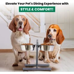 Iconic Pet Adjustable Stainless Steel Elevated Dog Bowl, H Design -Dog Supplies Shop 701886 PT5. AC SS1800 V1668110985