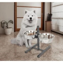 Iconic Pet Adjustable Stainless Steel Elevated Dog Bowl, H Design -Dog Supplies Shop 701886 PT6. AC SS1800 V1668110956