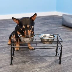 PetRageous Designs Set The Table Non-Skid Pet Bowl Wire Stand -Dog Supplies Shop 70410 PT7. AC SS1800 V1523374498