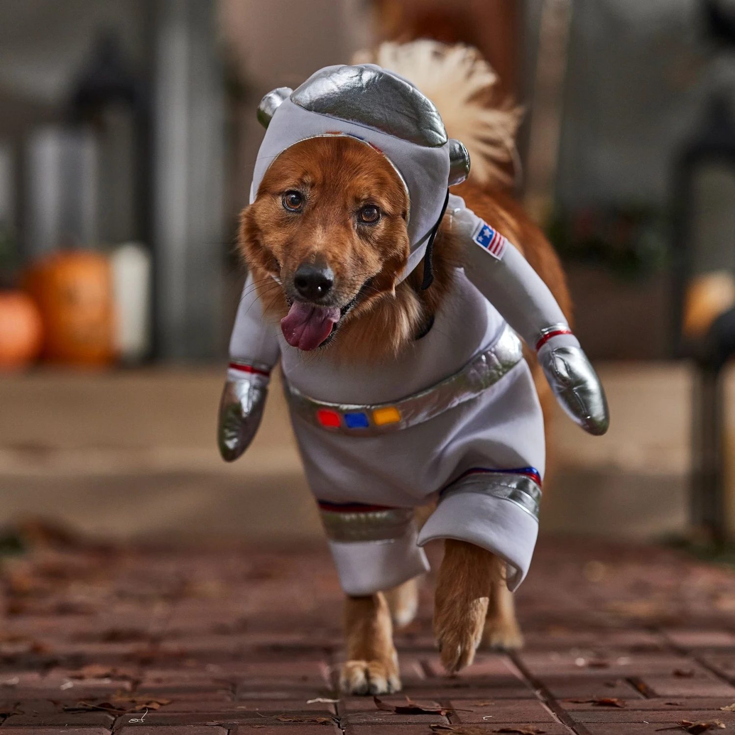 Frisco Front Walking LED Astronaut Dog & Cat Costume 8 Frisco Front Walking LED Astronaut Dog & Cat Costume - Image 7