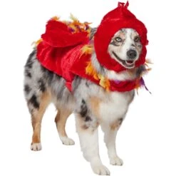 Frisco Flying Phoenix Dog & Cat Costume 12 Frisco Flying Phoenix Dog & Cat Costume -Dog Supplies Shop 708150 PT3. AC SS1800 V1691084928
