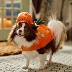 Frisco Furry Dinosaur Dog & Cat Costume -Dog Supplies Shop 708190 PT7. AC SS1800 V1689278373