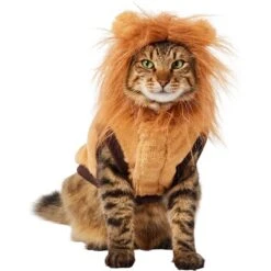Frisco Lion Love Dog & Cat Costume -Dog Supplies Shop 708318 PT2. AC SS1800 V1689341486