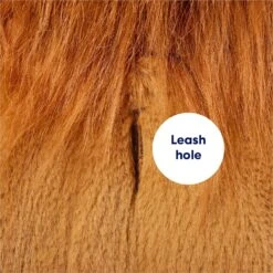 Frisco Lion Love Dog & Cat Costume -Dog Supplies Shop 708318 PT6. AC SS1800 V1689351045