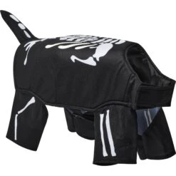 Frisco Glow In The Dark Skeleton Dog & Cat Costume -Dog Supplies Shop 709038 PT3. AC SS1800 V1689351051