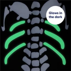 Frisco Glow In The Dark Skeleton Dog & Cat Costume -Dog Supplies Shop 709038 PT5. AC SS1800 V1689340910