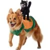 Frisco Pumpkin Cat Ride-On Dog & Cat Costume -Dog Supplies Shop 709294 MAIN. AC SS1800 V1689270833