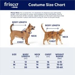 Frisco Pumpkin Cat Ride-On Dog & Cat Costume -Dog Supplies Shop 709294 PT1. AC SS1800 V1690562418
