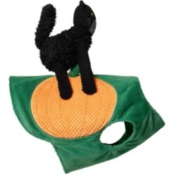 Frisco Pumpkin Cat Ride-On Dog & Cat Costume -Dog Supplies Shop 709294 PT4. AC SS1800 V1689270836