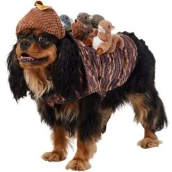 Frisco Squirrels & Nuts Ride-On Dog & Cat Costume