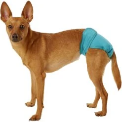 Simple Solution Washable Female Dog Diaper -Dog Supplies Shop 71153 PT2. AC SS1800 V1558360635