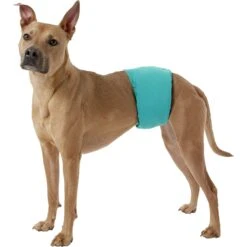 Simple Solution Washable Male Dog Wrap -Dog Supplies Shop 71170 PT2. AC SS1800 V1558360736