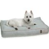 Bark And Slumber Birdie Plush Eco Friendly Fabric Lounger Dog Bed -Dog Supplies Shop 716998 MAIN. AC SS1800 V1669666582