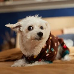 Frisco Cozy Plush Fleece Dog & Cat PJs, Mushrooms -Dog Supplies Shop 718950 PT7. AC SS1800 V1692378098