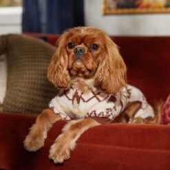 Frisco Fairisle Cozy Plush Fleece Dog & Cat PJs, Cream -Dog Supplies Shop 719006 PT7. AC SS1800 V1692376367