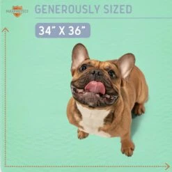 Chew + Heal Max Protect Quick-Dry Reusable Dog Pee Pads, 34-in -Dog Supplies Shop 722782 PT3. AC SS1800 V1670969811