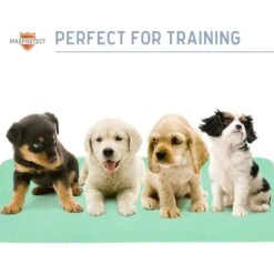 Chew + Heal Max Protect Quick-Dry Reusable Dog Pee Pads, 34-in -Dog Supplies Shop 722782 PT7. AC SS1800 V1671035204