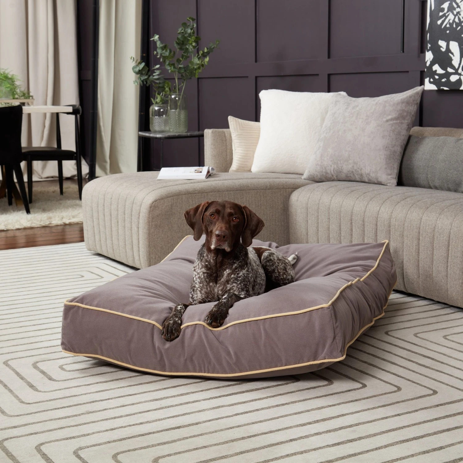 Happy Hounds Bailey Rectangle Pillow Dog Bed With Removable Cover 3 Happy Hounds Bailey Rectangle Pillow Dog Bed With Removable Cover