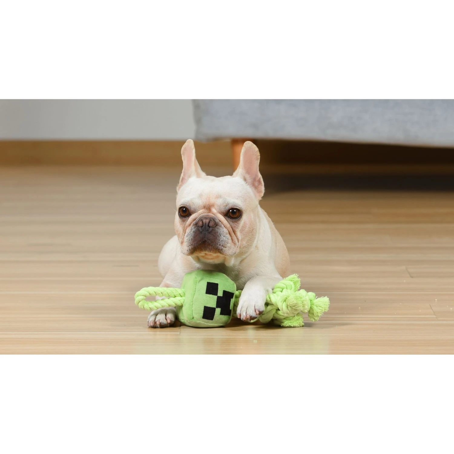 Fetch For Pets Minecraft Creeper Rope Squeaky Dog Toy 7 Fetch For Pets Minecraft Creeper Rope Squeaky Dog Toy - Image 5