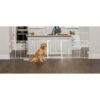 Regalo Pet Products 6 Panel Super Wide Dog Gate & Dog Play Yard -Dog Supplies Shop 733622 MAIN. AC SS1800 V1674674127