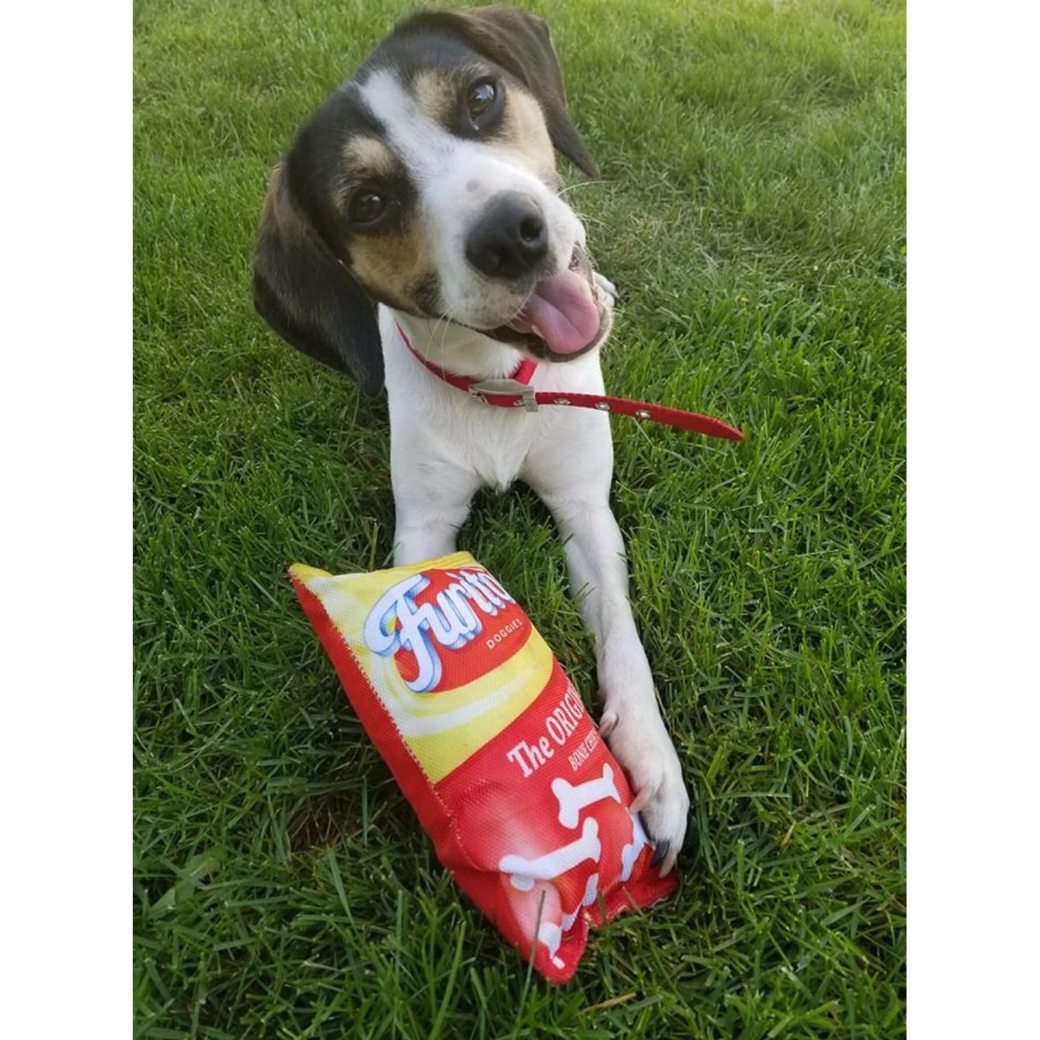 Ethical Pet Fun Food Furitos Chips Plush Squeaky Dog Toy, Assorted 7 Ethical Pet Fun Food Furitos Chips Plush Squeaky Dog Toy, Assorted - Image 5