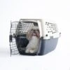 Petmate Vari Dog & Cat Kennel -Dog Supplies Shop 73674 MAIN. AC SS1800 V1573838875