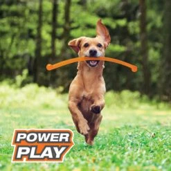 Nylabone Power Play Crazy Stick Dog Toy, Orange 13 Nylabone Power Play Crazy Stick Dog Toy, Orange -Dog Supplies Shop 737966 PT2. AC SS1800 V1672929912