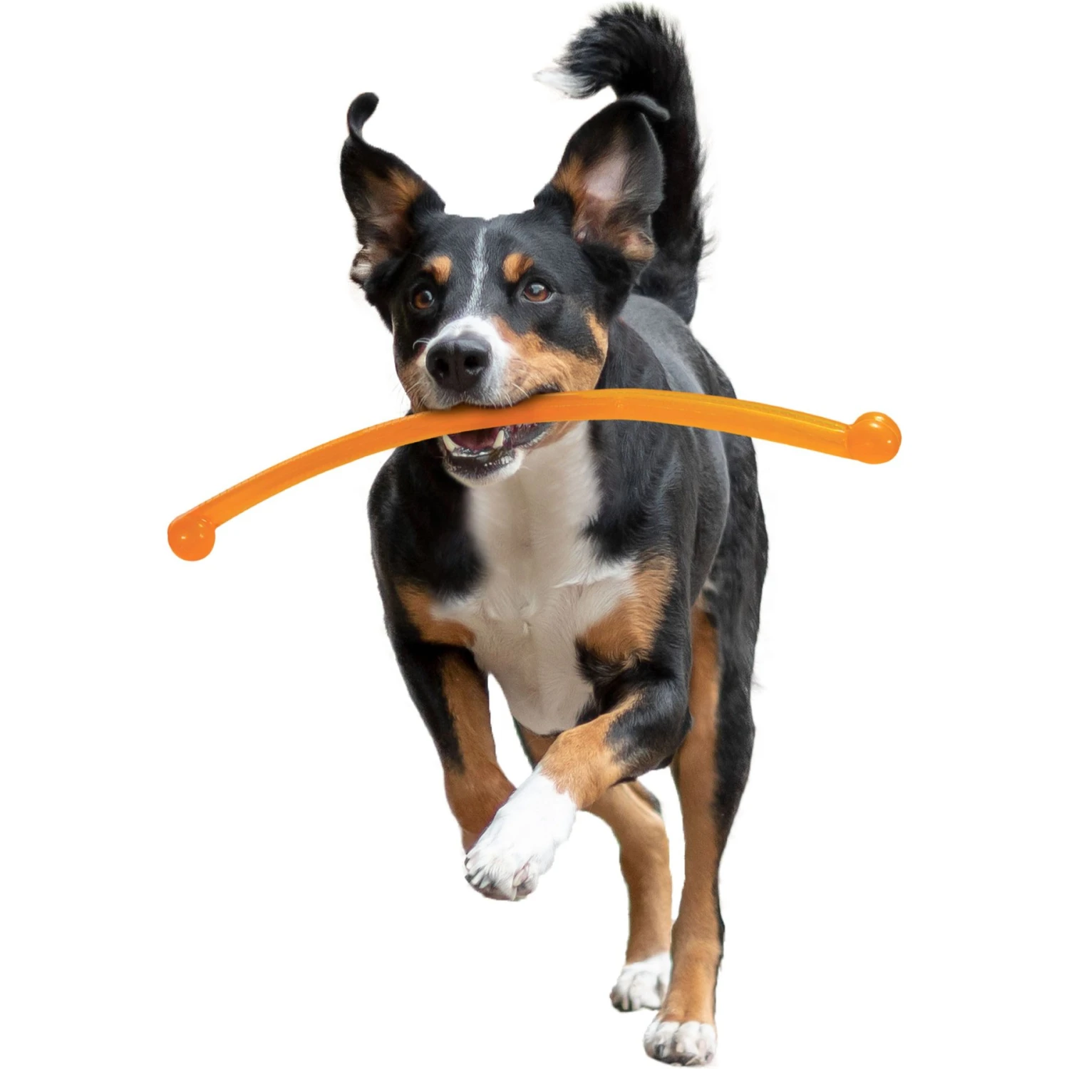 Nylabone Power Play Crazy Stick Dog Toy, Orange 11 Nylabone Power Play Crazy Stick Dog Toy, Orange - Image 9