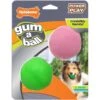 Nylabone Power Play Gum-a-Ball Dog Toy, One Size, 2 Count -Dog Supplies Shop 737982 MAIN. AC SS1800 V1672929145