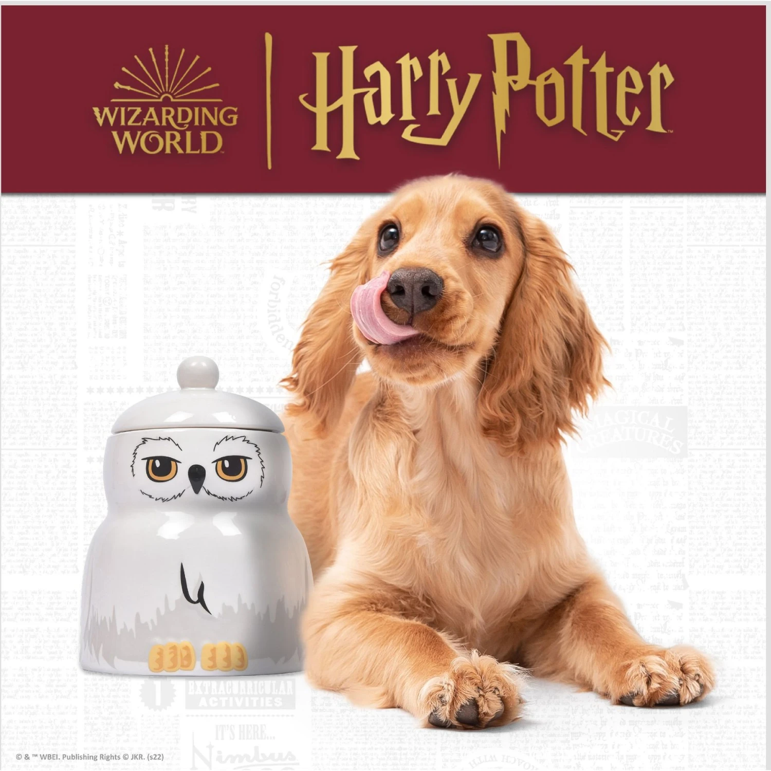 Fetch For Pets Harry Potter Hedwig Dog Treat Jar 4 Fetch For Pets Harry Potter Hedwig Dog Treat Jar - Image 2