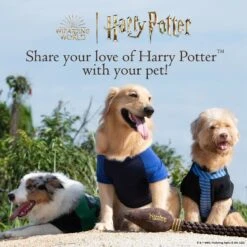 Fetch For Pets Harry Potter Hedwig Dog Treat Jar 15 Fetch For Pets Harry Potter Hedwig Dog Treat Jar -Dog Supplies Shop 738710 PT6. AC SS1800 V1678906022