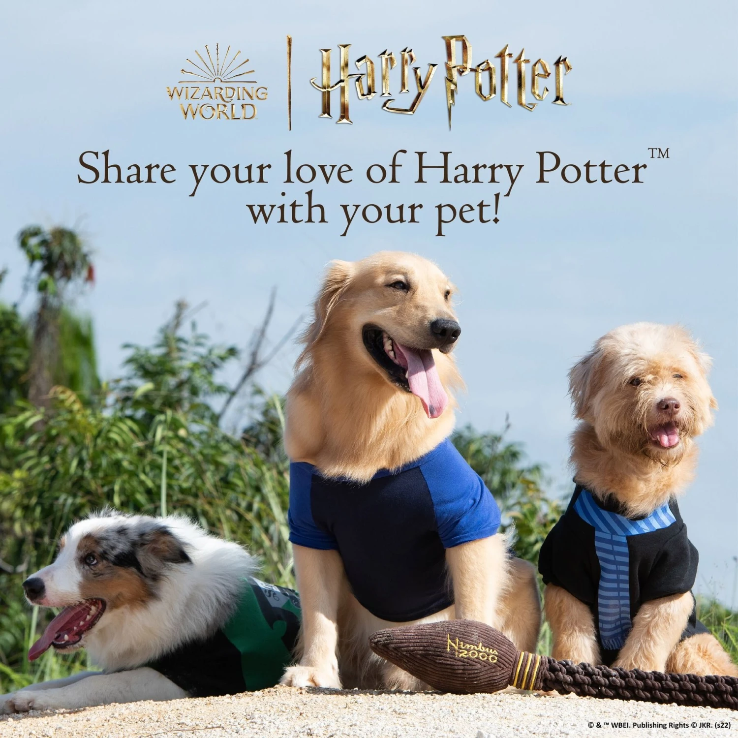 Fetch For Pets Harry Potter Hedwig Dog Treat Jar 9 Fetch For Pets Harry Potter Hedwig Dog Treat Jar - Image 7