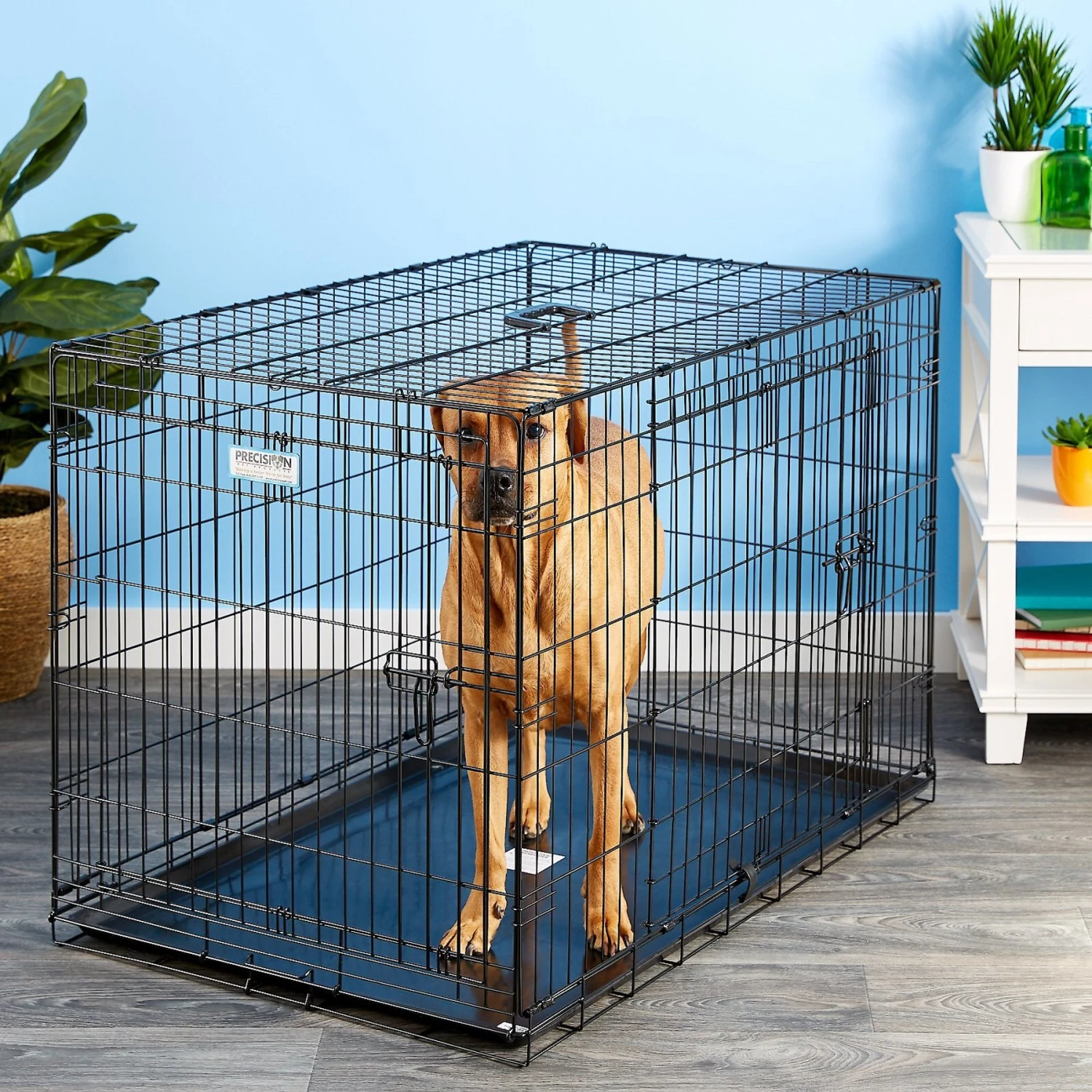 Precision Pet Products Provalu Double Door Collapsible Wire Dog Crate 3 Precision Pet Products Provalu Double Door Collapsible Wire Dog Crate