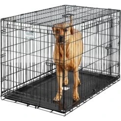 Precision Pet Products Provalu Double Door Collapsible Wire Dog Crate 11 Precision Pet Products Provalu Double Door Collapsible Wire Dog Crate -Dog Supplies Shop 74070 PT6. AC SS1800 V1569014836