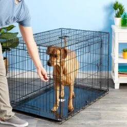 Precision Pet Products Provalu Double Door Collapsible Wire Dog Crate 12 Precision Pet Products Provalu Double Door Collapsible Wire Dog Crate -Dog Supplies Shop 74070 PT7. AC SS1800 V1496757266