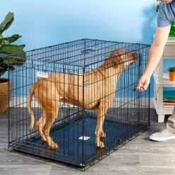 Precision Pet Products Provalu Double Door Collapsible Wire Dog Crate 13 Precision Pet Products Provalu Double Door Collapsible Wire Dog Crate -Dog Supplies Shop 74070 PT8. AC SS1800 V1496757360