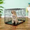 Precision Pet Products Provalu Single Door Collapsible Wire Dog Crate -Dog Supplies Shop 74077 MAIN. AC SS1800 V1569015121