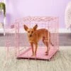 MidWest ICrate Single Door Collapsible Wire Dog Crate, Pink, 24 Inch -Dog Supplies Shop 74290 MAIN. AC SS1800 V1569015230