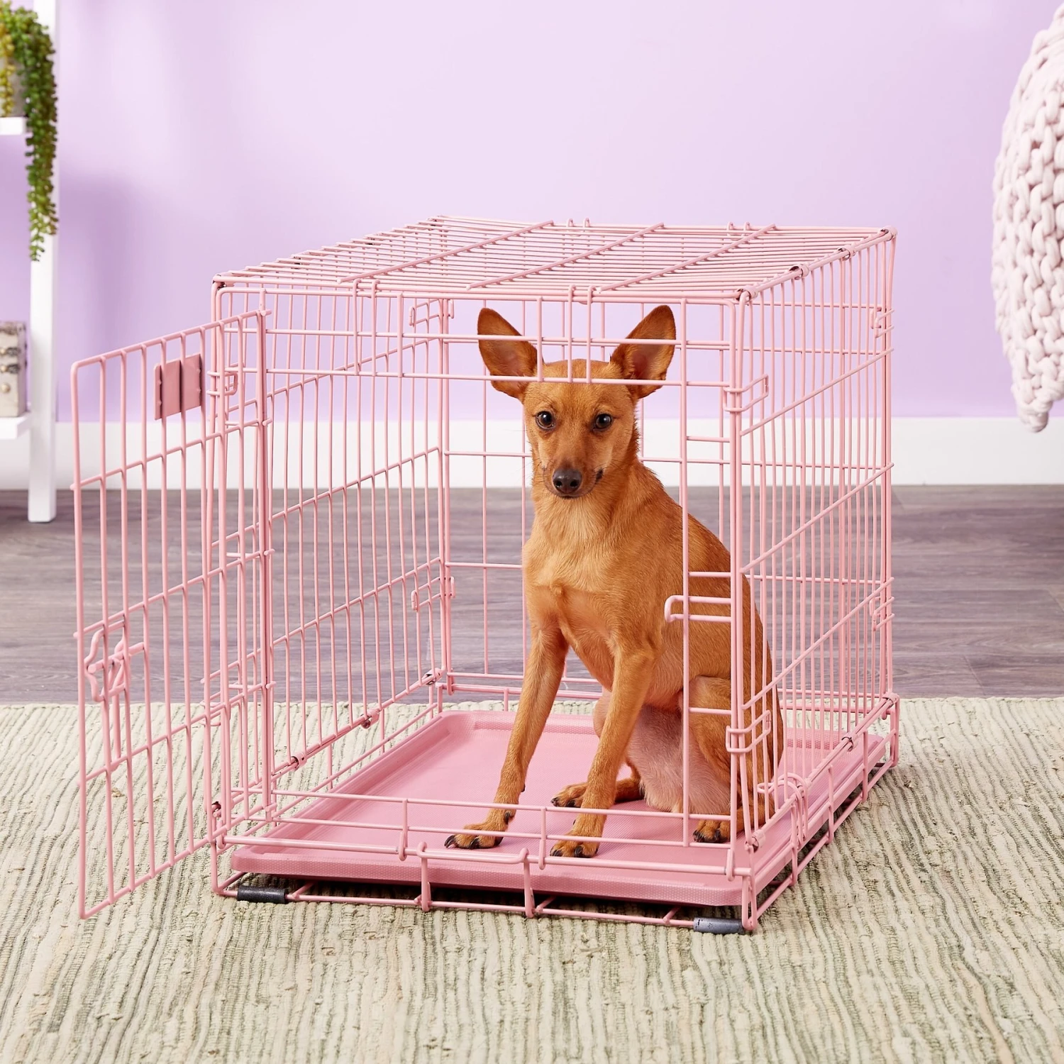 MidWest ICrate Single Door Collapsible Wire Dog Crate, Pink, 24 Inch 7 MidWest ICrate Single Door Collapsible Wire Dog Crate, Pink, 24 Inch - Image 5