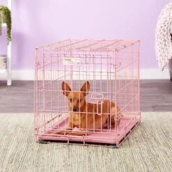 MidWest ICrate Single Door Collapsible Wire Dog Crate, Pink, 24 Inch 16 MidWest ICrate Single Door Collapsible Wire Dog Crate, Pink, 24 Inch -Dog Supplies Shop 74290 PT5. AC SS1800 V1562173055
