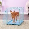 MidWest ICrate Single Door Collapsible Wire Dog Crate, Blue -Dog Supplies Shop 74292 MAIN. AC SS1800 V1569015254