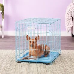 MidWest ICrate Single Door Collapsible Wire Dog Crate, Blue -Dog Supplies Shop 74292 PT5. AC SS1800 V1562173096