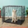 MidWest Solutions Series XX-Large Heavy Duty Double Door Wire Dog Crate, 54 Inch 1 MidWest Solutions Series XX-Large Heavy Duty Double Door Wire Dog Crate, 54 Inch -Dog Supplies Shop 74373 MAIN. AC SS1800 V1569015439