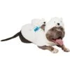 Frisco Polar Bear Ride-On Dog Costume -Dog Supplies Shop 747046 MAIN. AC SS1800 V1694813783