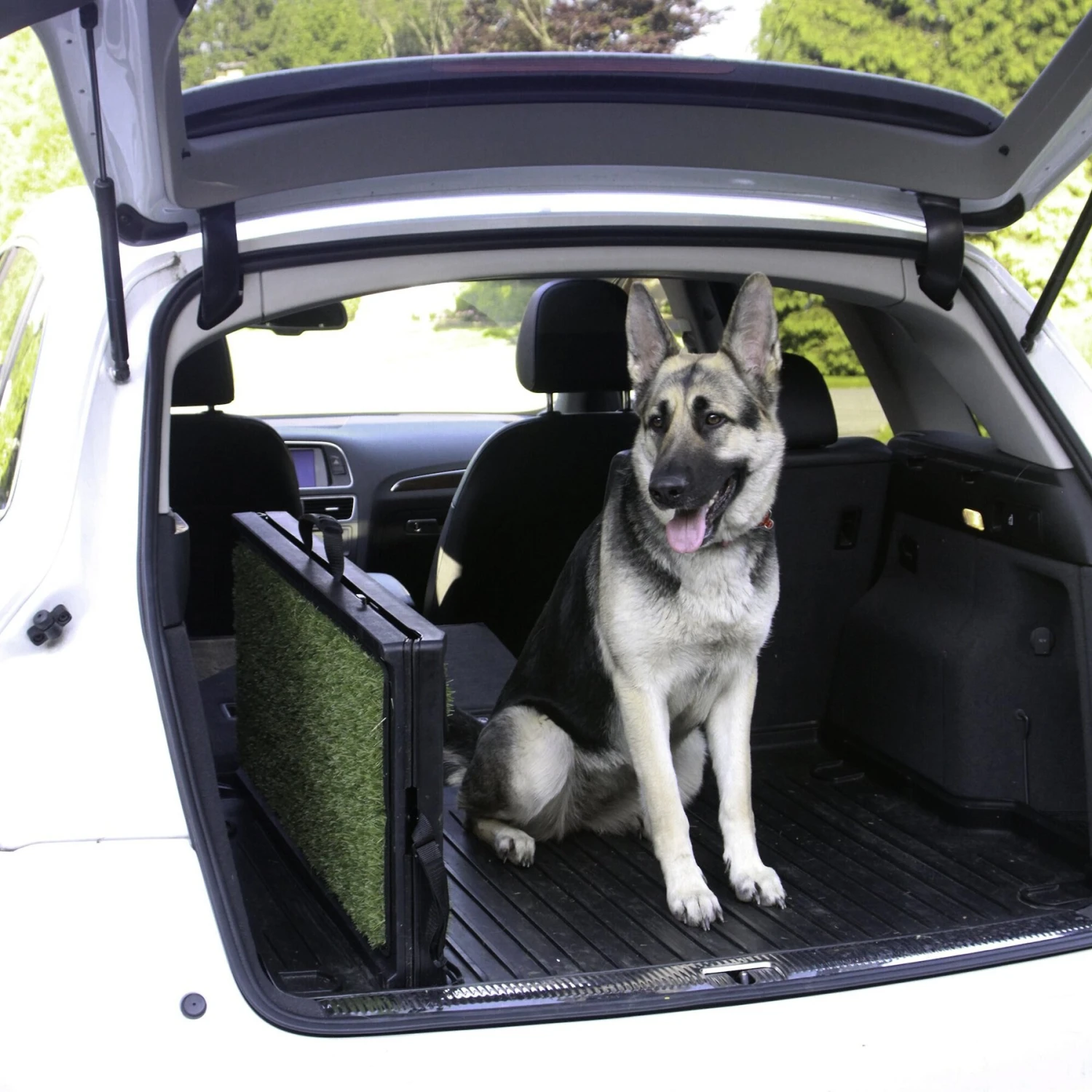 Gen7Pets Natural-Step Foldable Dog Car Ramp 8 Gen7Pets Natural-Step Foldable Dog Car Ramp - Image 6