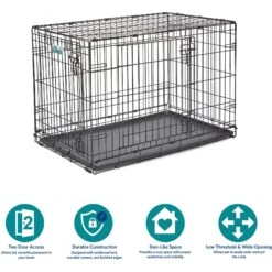 MidWest ICrate Fold & Carry Double Door Collapsible Wire Dog Crate & KONG Classic Dog Toy -Dog Supplies Shop 752366 PT4. AC SS1800 V1672869881