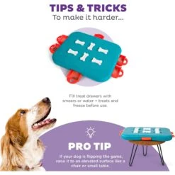 Nina Ottosson By Outward Hound Casino Puzzle Game Dog Toy -Dog Supplies Shop 75370 PT4. AC SS1800 V1694286770